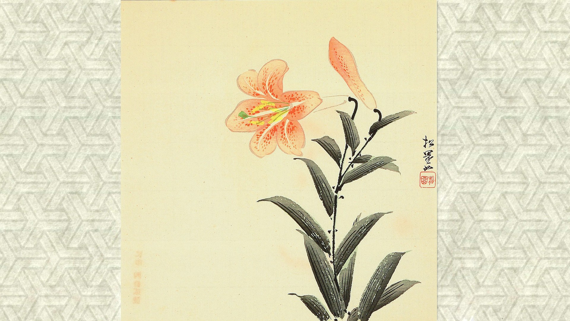 ��������