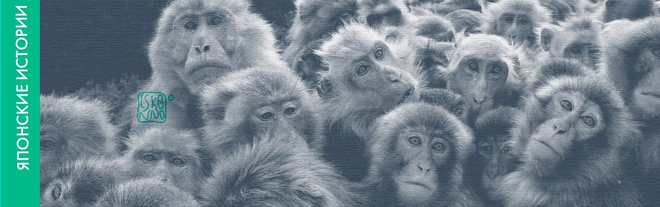 Японская сказка «Откуда взялись обезьяны»