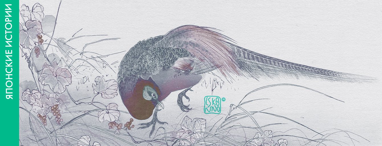 Японская сказка «Молчи, фазан»