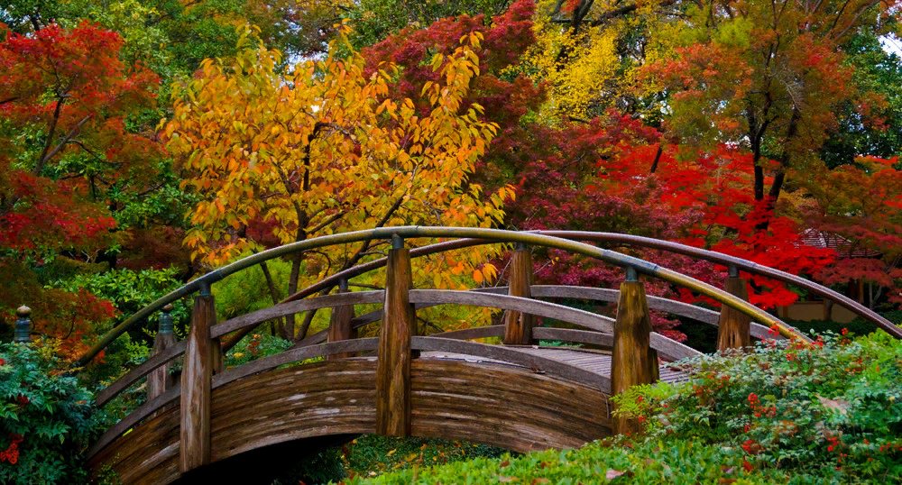Японский сад в Форт-Уэрте, Техас, США